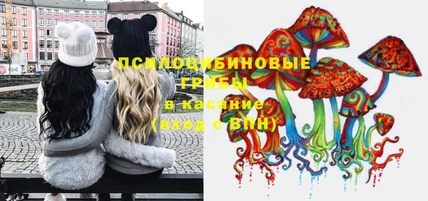 мяу мяу мука Беломорск