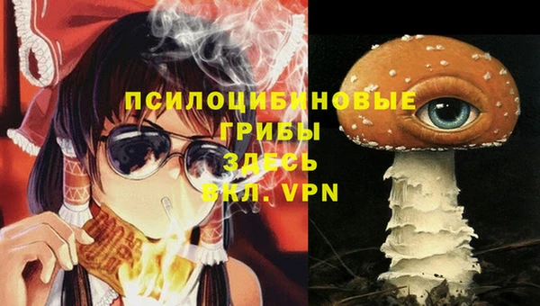 мяу мяу мука Беломорск