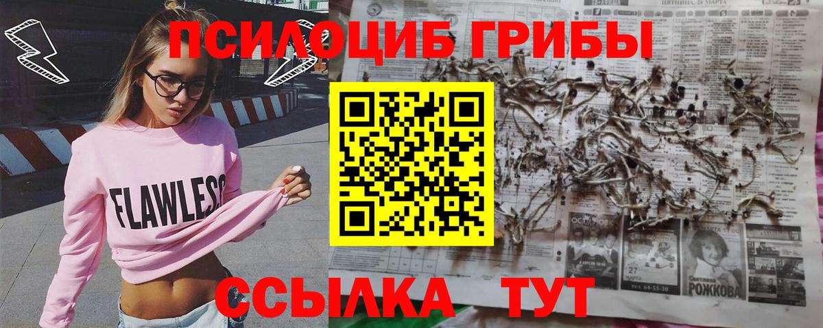 Великие Луки  Галлюциногенные грибы Cubensis  Вход с VPN 